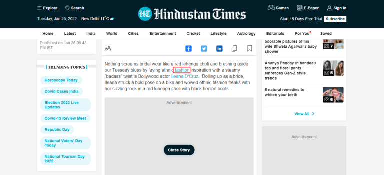 Guest Post Case Study on Hindustantimes.com 33